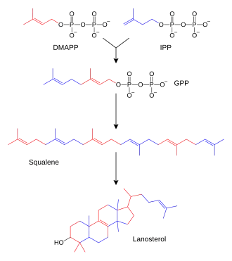 Chemical-diagram flow chart