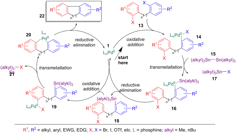 Catalytic cycle of the Stille-Kelly reaction