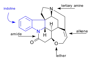 Strychnine, functional groups