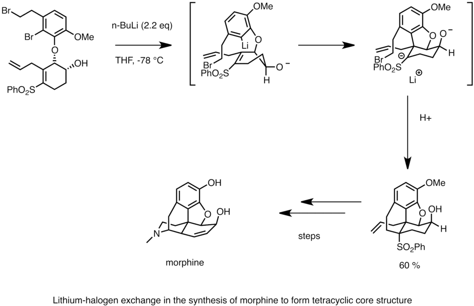 Synthesis of morphine using lithium–halogen exchange