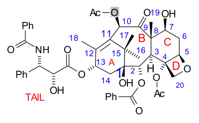 Paclitaxel, a polycyclic natural product with a tricyclic core: with a heterocyclic, 4-membered D ring, fused to further 6- and 8-membered carbocyclic (A/C and B) rings (non-aromatic), and with three further pendant phenyl-rings on its "tail", and attached to C-2 (abbrev. Ph, C6H5; aromatics).