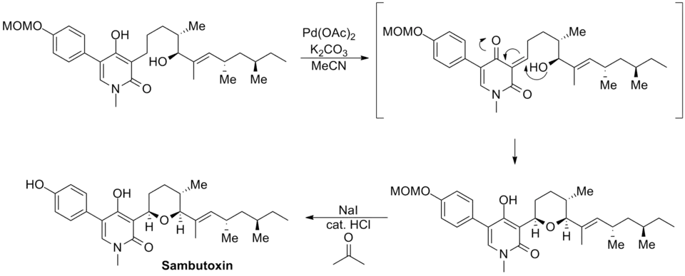 Williams sambutoxin synthesis