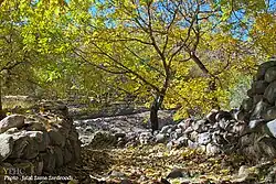 Autumn landscape in Asenjan village