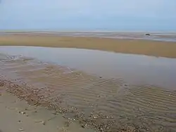 Mudflats in   in Brewster, Massachusetts, United States, extending hundreds of yards offshore at the low tide. The line of Wrack (seaweed) and seashells in the foreground indicates the high-water mark.
