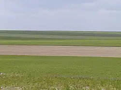 A typical landscape of Champagne chalk in the south of the department.