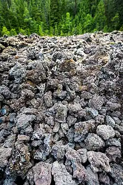 Rubbly moss-covered lava rock with trees in the background