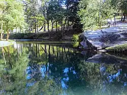 Arno river in Casentino