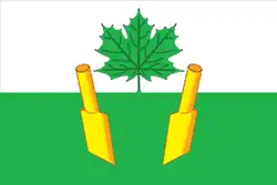 Flag of Lukoyanovsky District