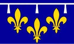 Flag of Orléans