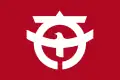 Flag of Taishi