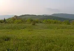 View from Huckleberry Knob, looking south
