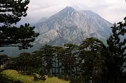 Volujak Mountain