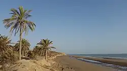 Persian Gulf coastline at Emam Hasan