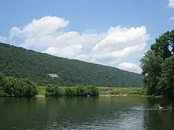 Wooded mountainside seen from a river