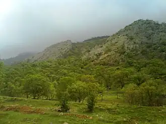 Tange deel around the  Gachsaran city, Early spring