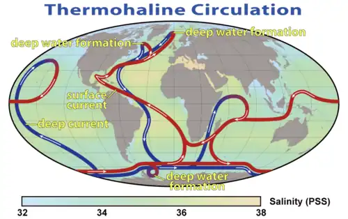 World map with colored, directed lines showing how water moves through the oceans. Cold deep water rises and warms in the central Pacific and in the Indian, whereas warm water sinks and cools near Greenland in the North Atlantic and near Antarctica in the South Atlantic.