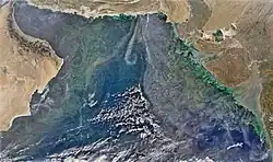 Phytoplankton bloom over the Arabian Sea