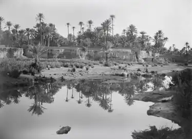Unidentified oasis in Chad, photographed  1930