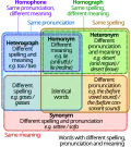 Euler Diagram displaying the relationship between homographs, homophones, and synonyms