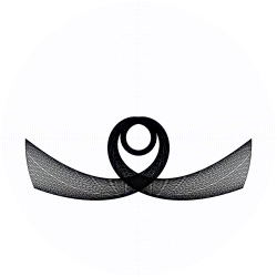 An orbit of the swinging Atwood's machine for , , and zero initial velocity.