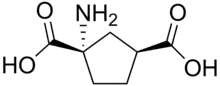 Stereo, skeletal formula of ACPD ((1S,3S)-1-amino,-1,3-dicarboxylic acid)