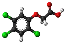 Ball-and-stick model of 2,4,5-T