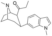 Indolylcf. the Tamagnan series of phenyltropanes for examples with a methylene unit spacer breaking up the indole.