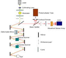 Diagram of the AOSLO setup