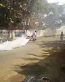 Anti-mosquito fogging operation in India