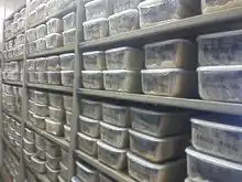 silk storage plankton plastics