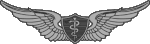 Flight Surgeon Badges