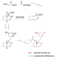 Biosynthesis using Diels-Alder catalyzed cyclization