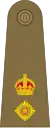 Lieutenant-Colonel