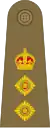 Colonel