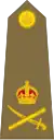 Lieutenant-General