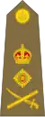 General