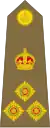 Brigadier