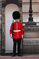 The iconic bearskins of the King's Guard at Buckingham Palace are made from the fur of American black bears.