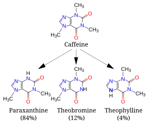 A diagram featuring 4 skeletal chemical formulas. Top (caffeine) relates to similar compounds paraxanthine, theobromine and theophylline.