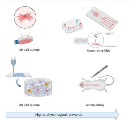 Cell culture-fig