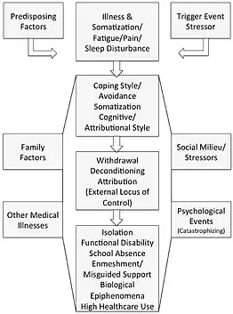 A model showing different factors in chronic pain.