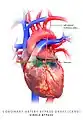 Coronary artery bypass graft, single bypass
