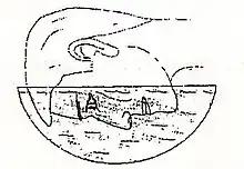 Illustration of a large lens covering a man's face