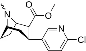 Epibatropane containing a nitrogen heteroatom in the benzene ring formation.