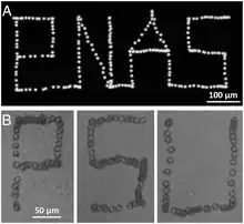 dotted lines forming block letters
