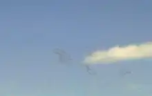 Floaters against a blue sky with cloud.