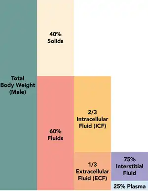 "Fluid composition of the body 1.3" by Alan Sved and David Walsh is licensed under CC BY-SA 4.0.
