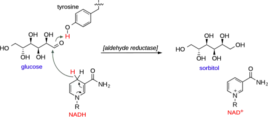 Mechanism of glucose aldehyde reduction into sorbitol