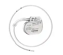 Implantable cardioverter-defibrillator with its lead (ex vivo)