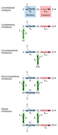 chemical equilibrium reaction formula for competitive, uncompetitive, non-competitive, and mixed inhibition